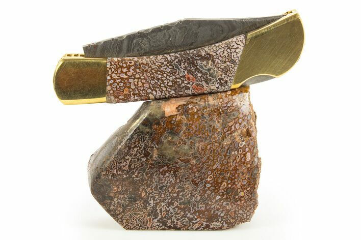 Pocket Knife With Fossil Dinosaur Bone Inlays & Base #327594